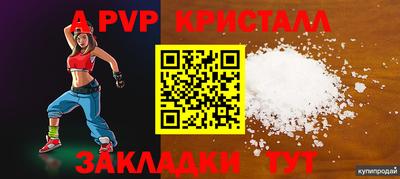 стафф Ижевск