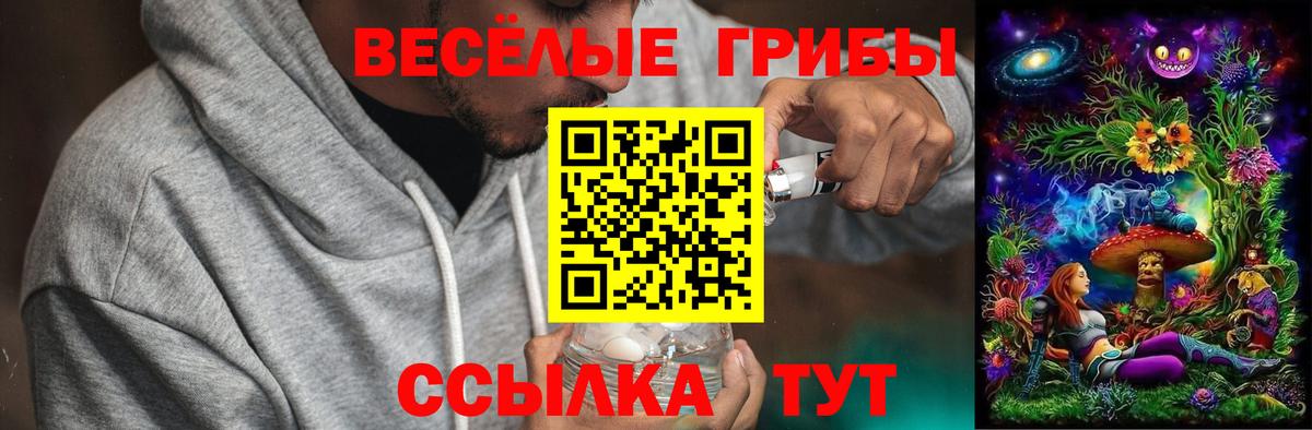 Магнитогорск  Псилоцибиновые грибы Psilocybe  Вход с VPN 