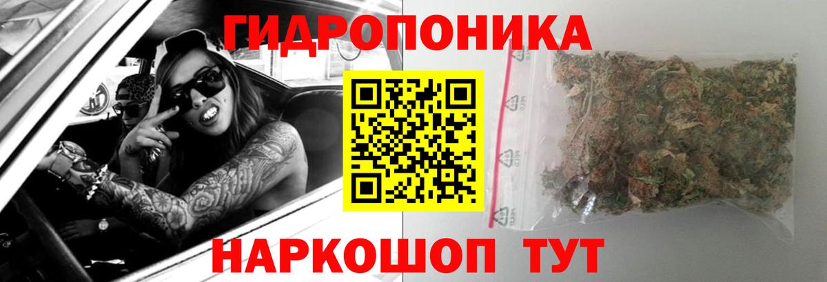 Конопля SATIVA & INDICA  Канабис OG Kush  Вход с VPN  Магнитогорск  Канабис Bruce Banner  Канабис гибрид 